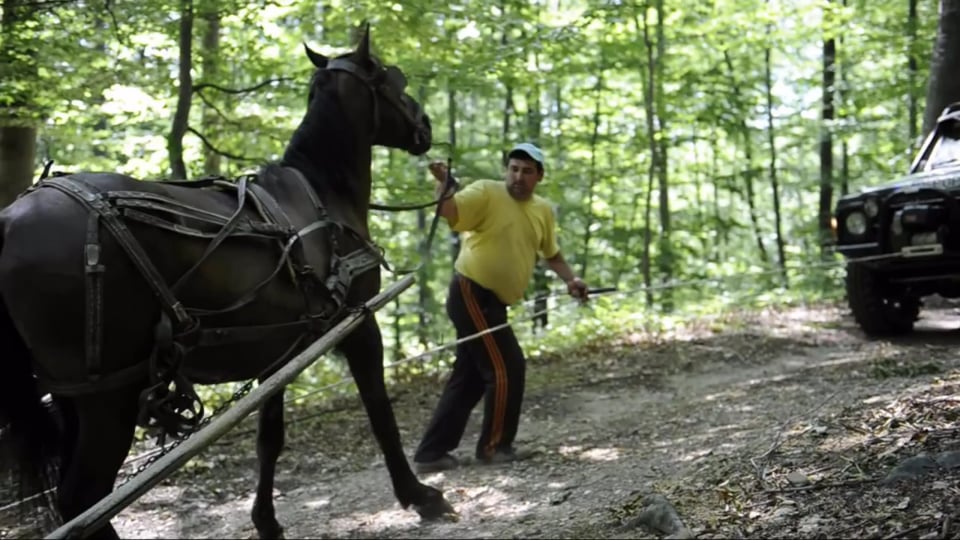 Tipp 6 "Untersteuern" – Serie: Sicher durch den Winter