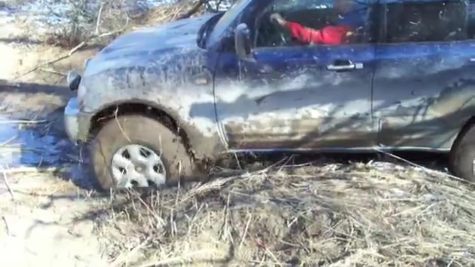 Cars&Stars - Auto Zürich Car Show 2015 (2)