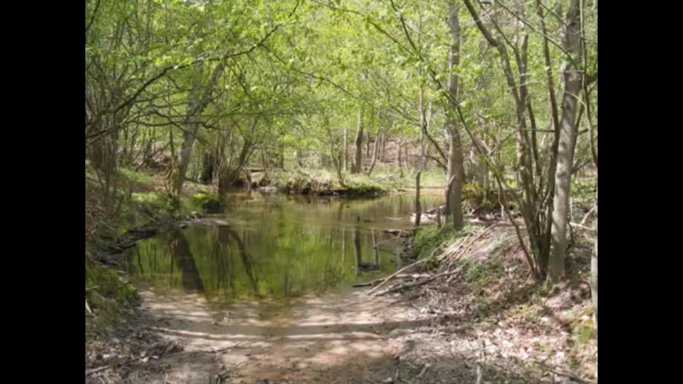 Reise in die Mongolei