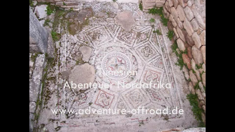 SKN AUDI RS6 Tuning 730 HP soon 910 HP and 1020 Nm Supercar Milltek Race Sound