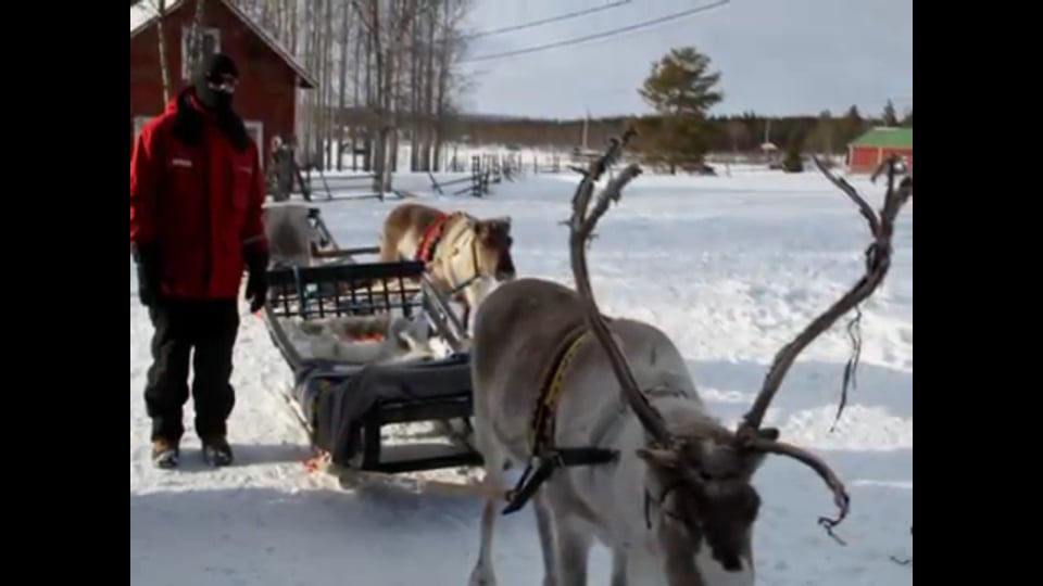 mcchip-dkr Leistungssteigerung Stage 4 Mercedes GLE 63S AMG 5.5 V8 Bi-Turbo 