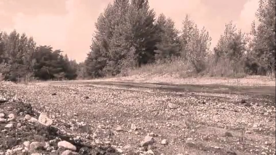 Kremer Racing in Portimao - Startaufstellung 2. Rennen