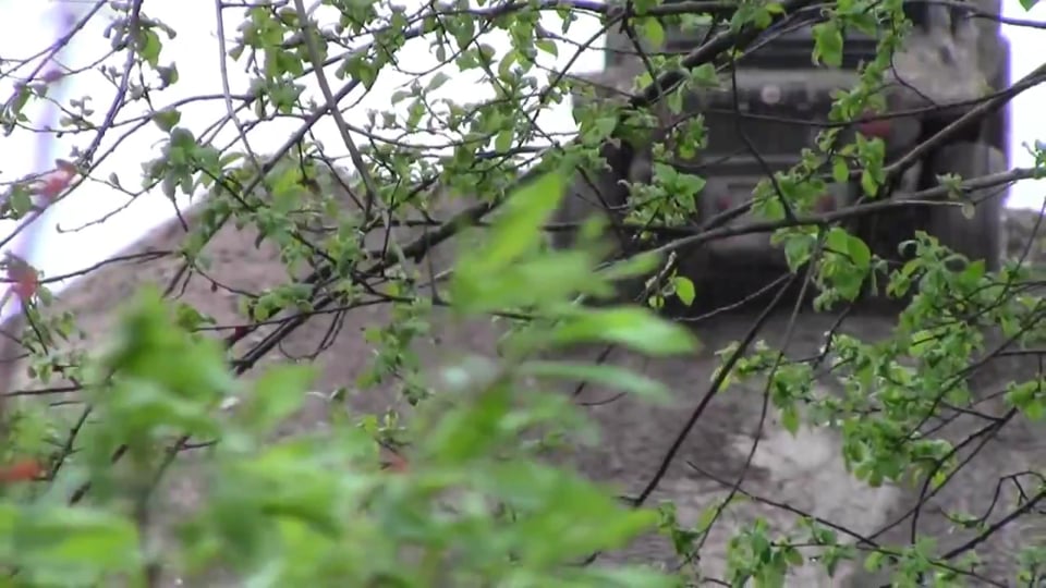 „Best of“: Die Wüste bebt - Folge 59 | TURBO - Das Automagazin / Teil 1