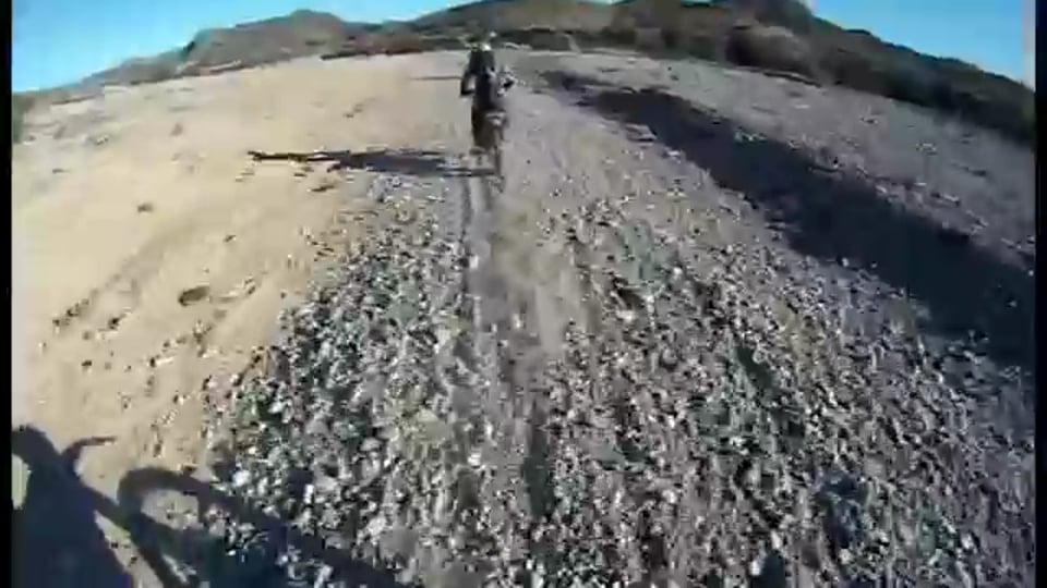 Cars&Stars in Monza: Interview mit Frank Scheelen, Sponsor und Freund von Freddy Kremer