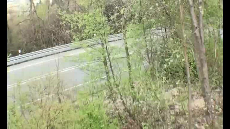 WRC+ – Rallye Guanajato Mexico 2017 (Preview)