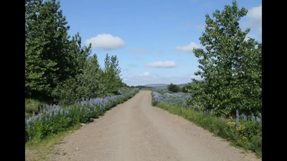 Wohnkabine Four-Wheel Wildcat 2012 - 15GD01