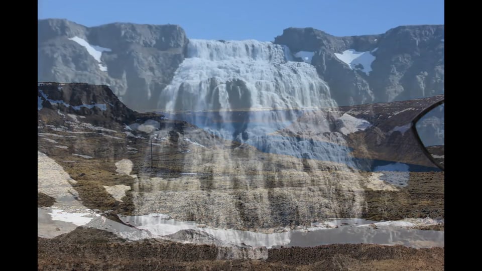 POGEA RACING | TUTORIAL DNA CAMBER PLATES