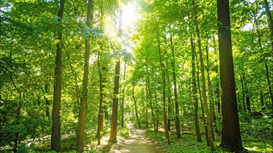 ADAC GT Masters 2017, Nürburgring, Samstag: DTM-Fahrer Auer feiert Premierensieg