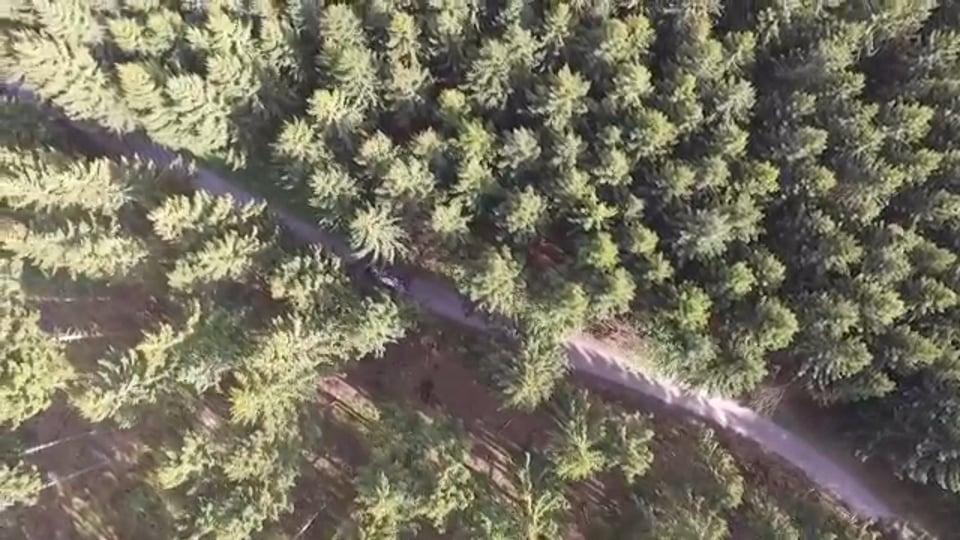 Das 3 Tage Motorrad Kompakttraining