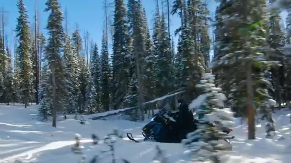 GRANDIOSER CARAVAN SALON 2017