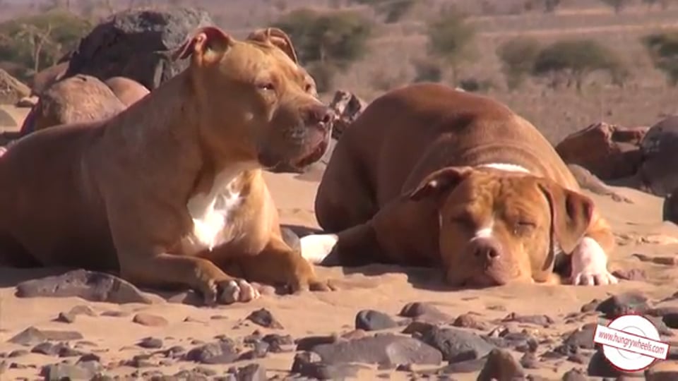 Audi Sport TT Cup - Legendäres Rennen zum Abschluss: 14|15.10.2017