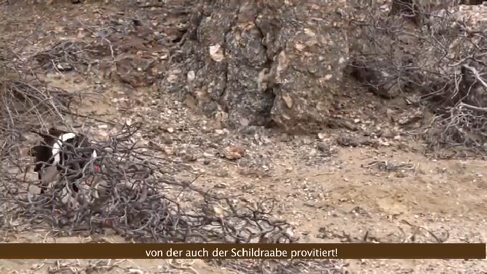 BMW X3 – Markteinführung Dezember 2017...