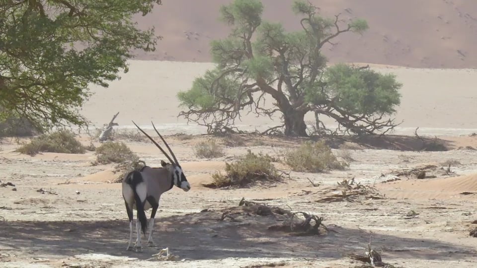 Hafeneger-CUP Lauf 11 (Finale) - Oschersleben