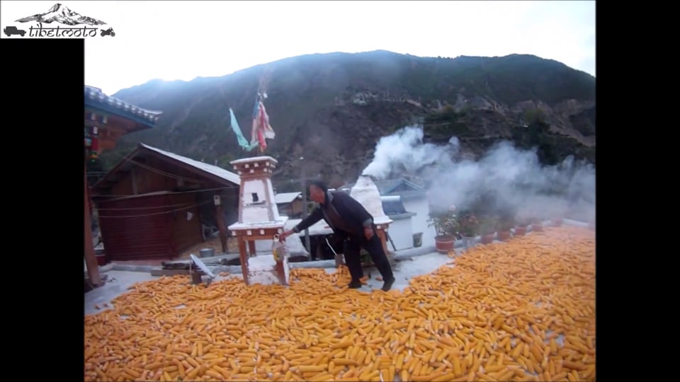 Classic and modern: a meeting of two 911s