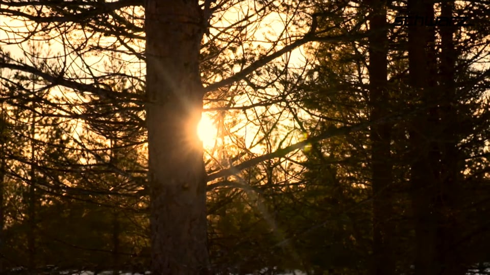 Der neue BMW i8 Roadster, das neue BMW i8 Coupé.