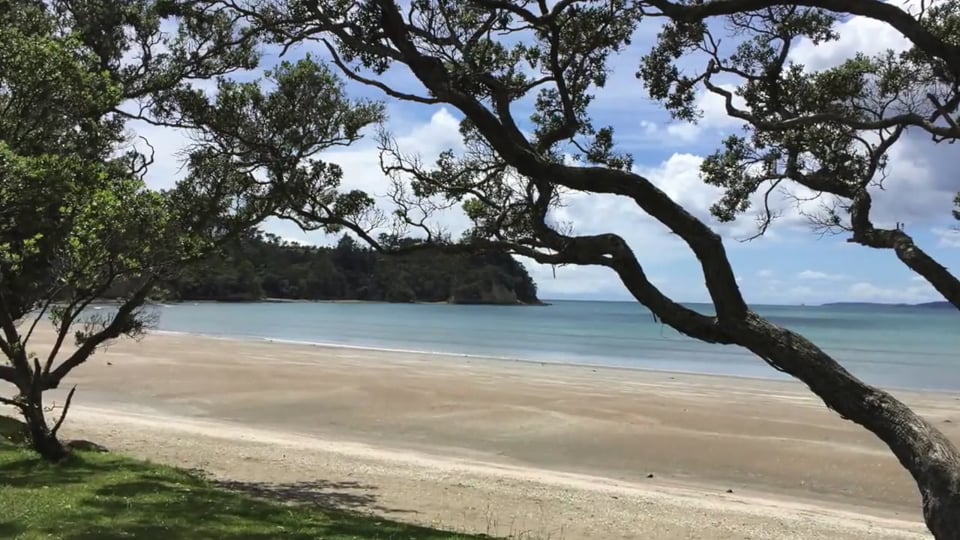 Versprochen, geliefert: BMW Group bringt wie angekündigt 100.000 elektrifizierte Automobile in 2017 auf die Straße.