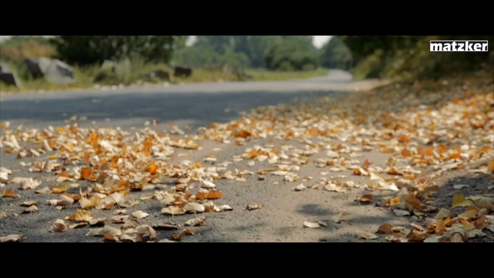 WRC – FIA World Rallye Championship 2018 – Stop 1: Monte Carlo,  Summary