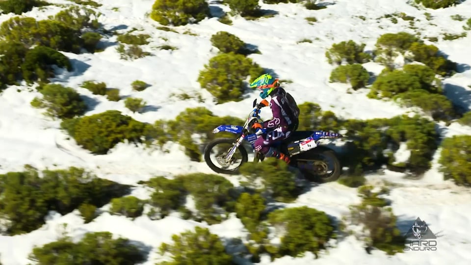 Do you remember: BMW Zagato Coupé