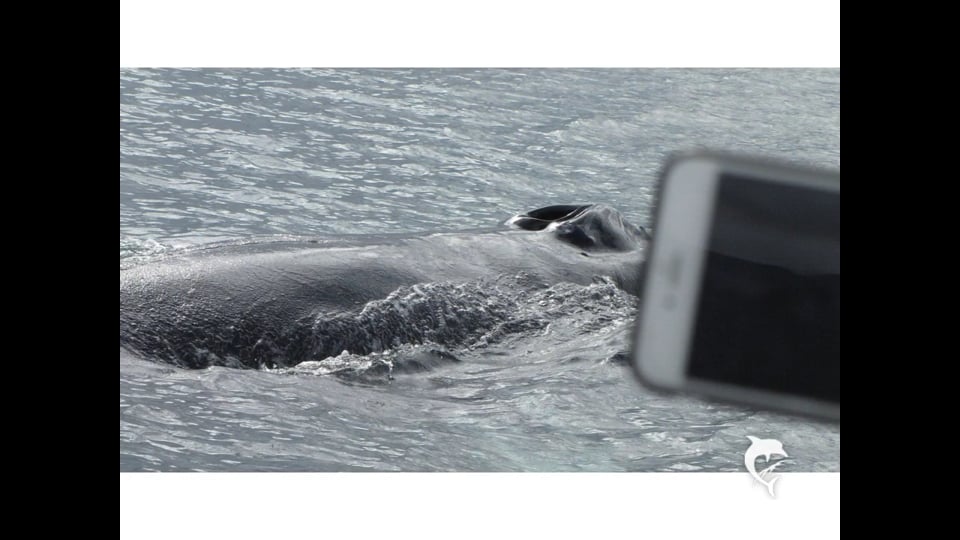 OFFROAD NETWORK Jeep JK Action Truck