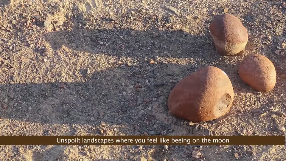 Auch im Winter, wenn es schneit: der neue Porsche 911 GT3 RS