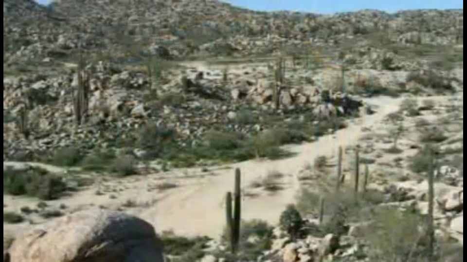 Mercedes-Benz VIP Viano von Carl Friederichs GmbH