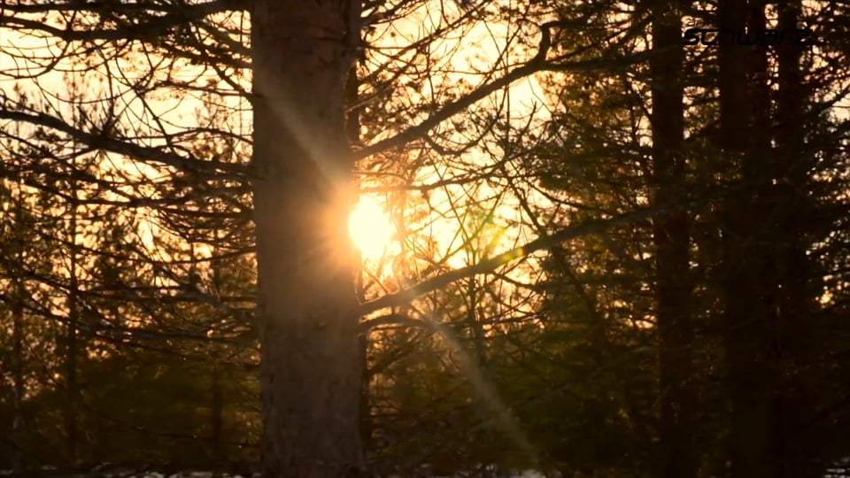 Das Design des neuen Audi A7