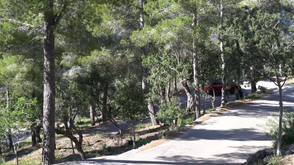 Porsche eSports: Niklas Krellenberg vs. Lars Kern