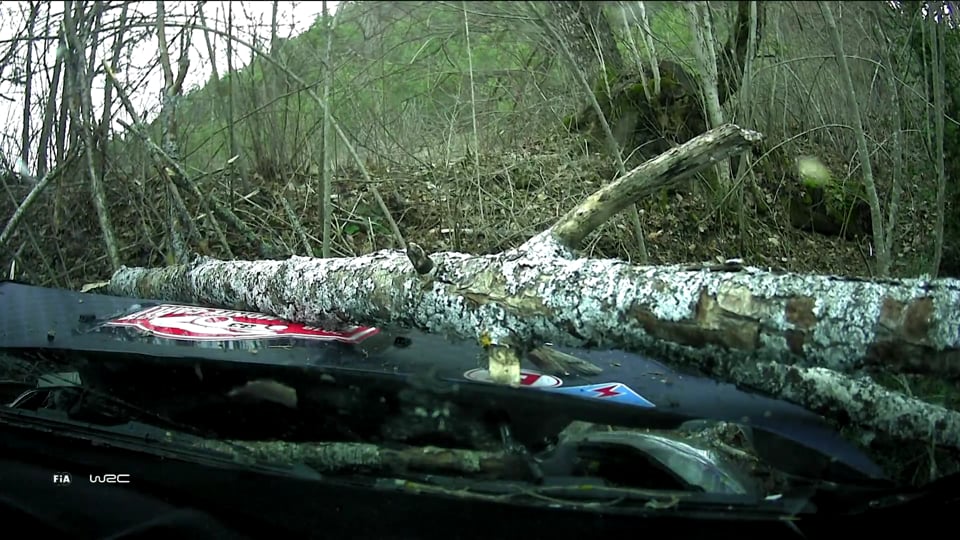 Audi Q2 Stauassistent