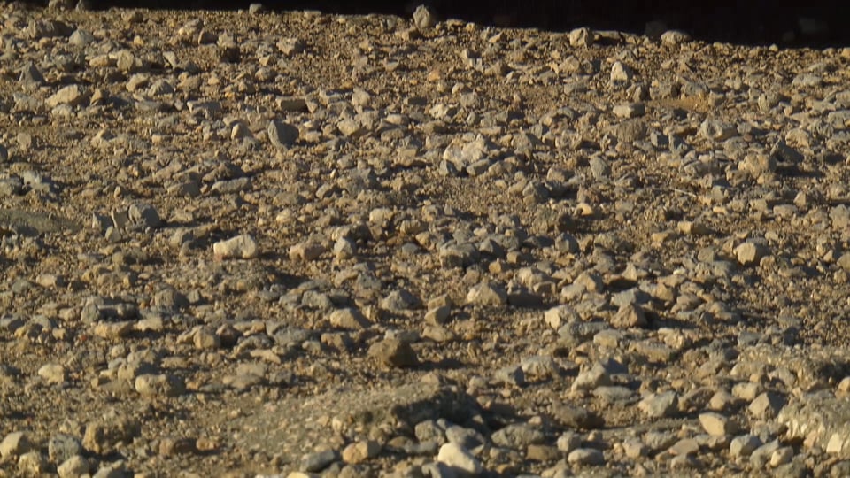 The new BMW S 1000 R