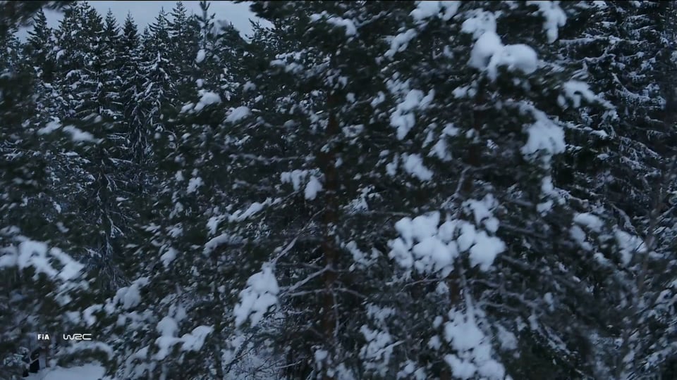 Schwarmkreativität – Cockpit-Innovationen im Porsche Mission E.