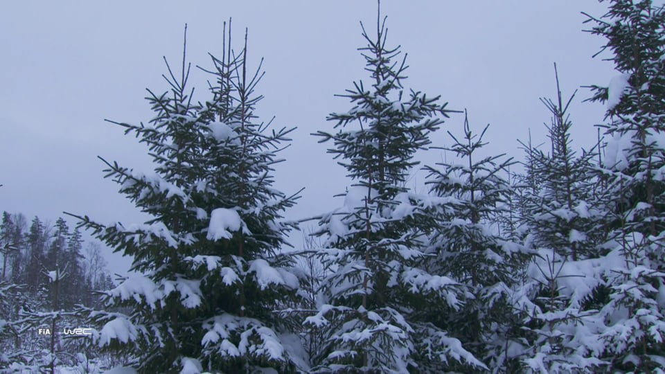 Island Abenteuer mit einem VW T5 California 4motion - Wasserdurchfahrten