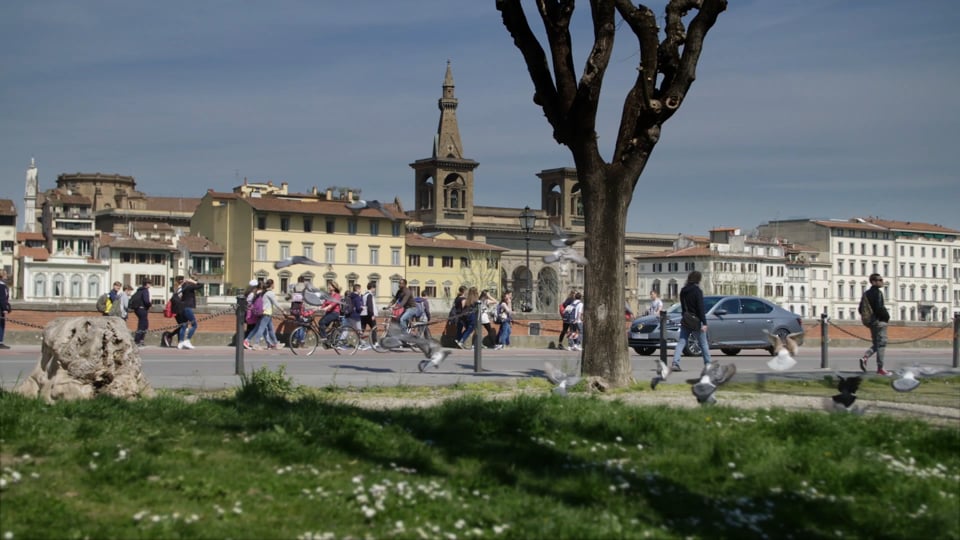 Fiat Professional MXGP of France