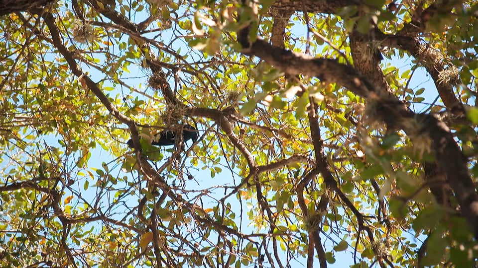 Stauraum im VW Camper mit breiter Liegefläche 