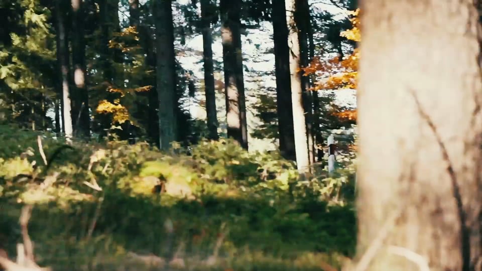 Renault Colorale von 1950 (Originalaufnahmen)