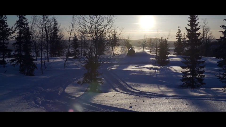 Winter High Performance Event | HAMANN BMW X4 M40i