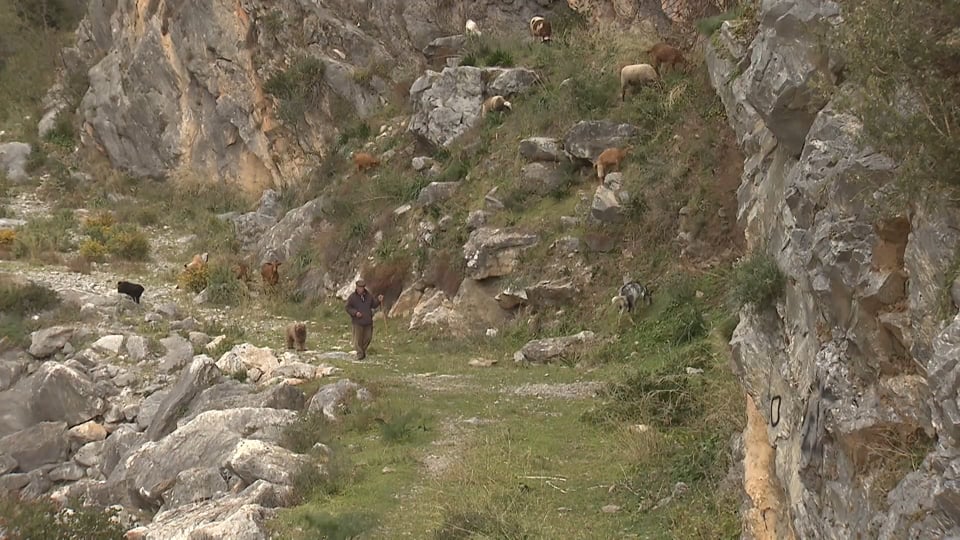 BMW Group plant Campus für additive Fertigung: Dort bündelt man künftig Technologiekompetenz zu industriellen 3D-Druckverfahren.
