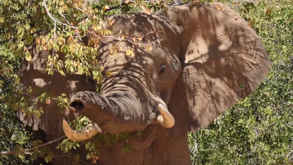 Porsche no.1, perfect race in Texas – Porsche Motorsport 2016