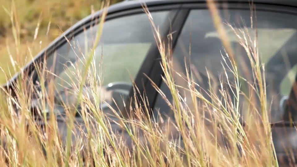 Home turf Nürburgring – Porsche Motorsport 2016