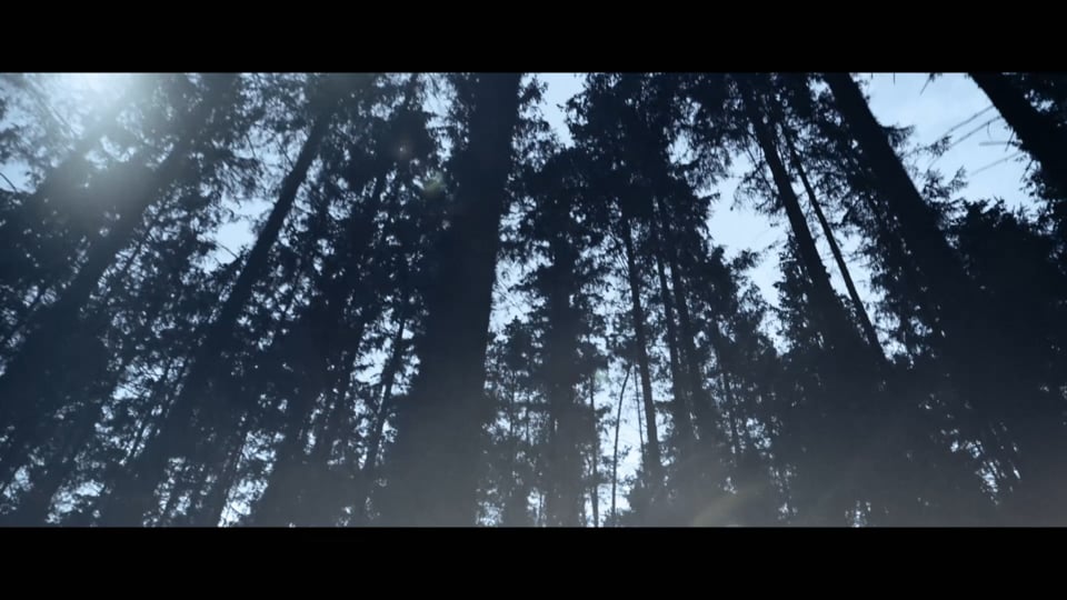 WRC2 FIA World Rallye Championship – Stop 5 in Argentinien: Sonntag, Erneuter Sieg für...