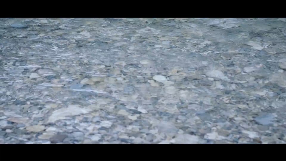 OFFROAD NETWORK - ROCK'S Experience Heckstoßfänger Aluminium