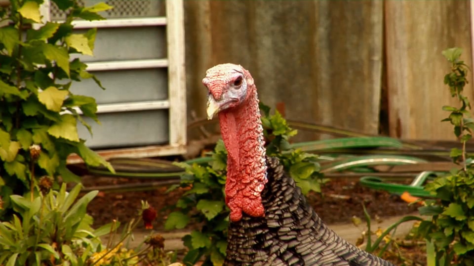 Faszination Offroad Reisen