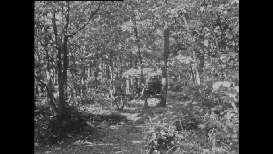 Red Bull Rookies Cup 2018 – Race 2 – Results and award ceremony... (Jerez, Spain)