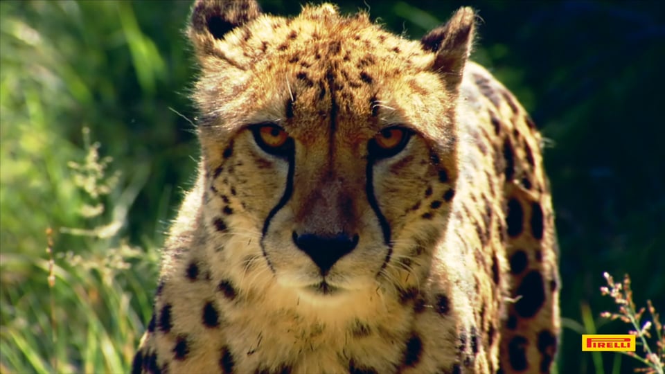  24h Nürburgring 2018 – Zwischenstand nach sechzehn Rennstunden 