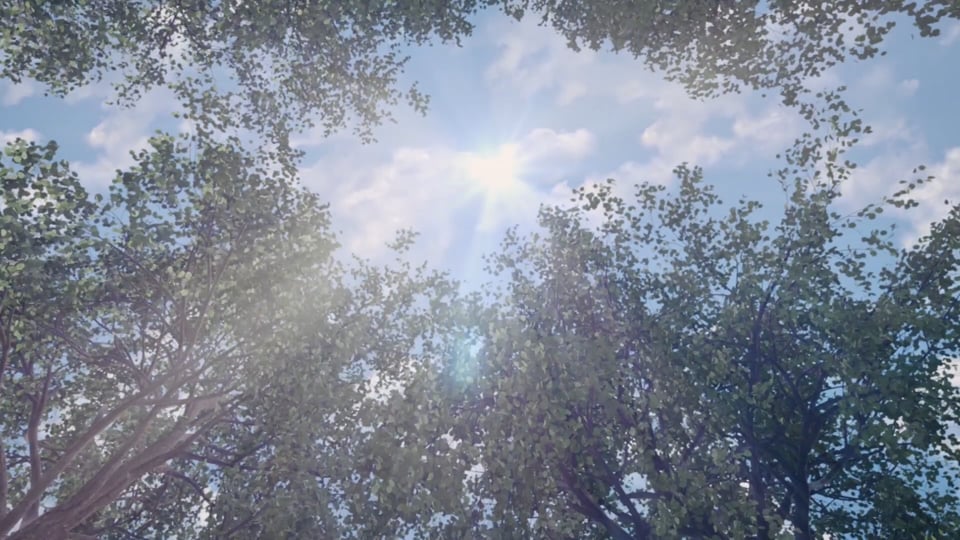 WRC FIA World Rallye Championship – Stop 6 in Portugal: First stages...