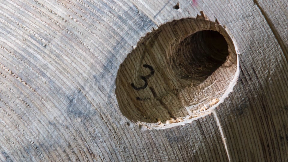 BMW Individual 7 Series by Esther Mahlangu