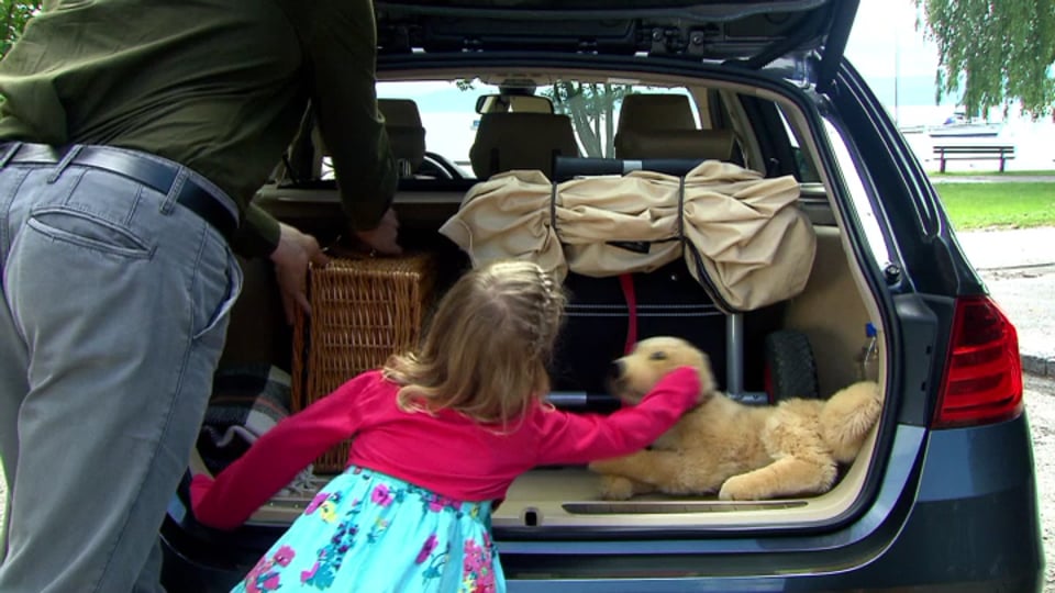 Erlkönig: Neuer Audi A8 im Test