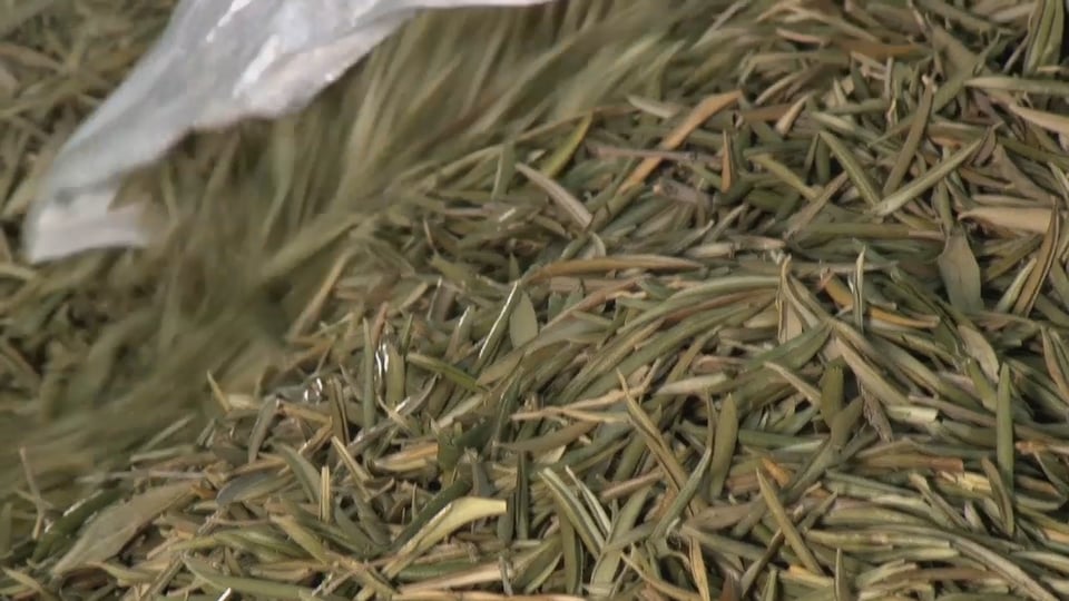 60 Seconds of Audi Sport 103/2015 - WEC Bahrain, Qualifying