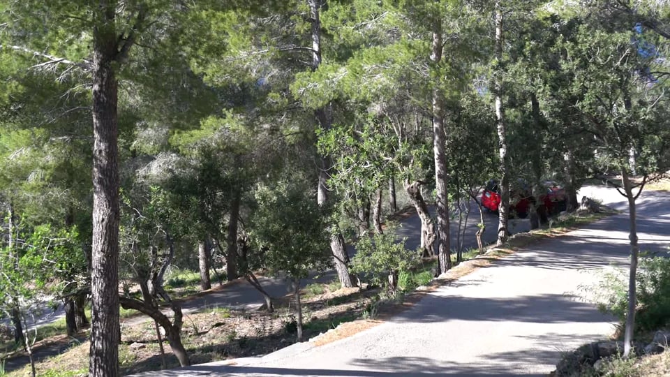 Der neue BMW Z4: Startsignal für pure Fahrfreude.