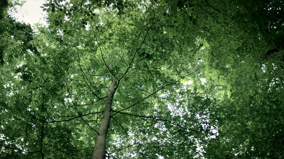 ŠKODA SUNROQ: das fünfte Azubi Concept Car