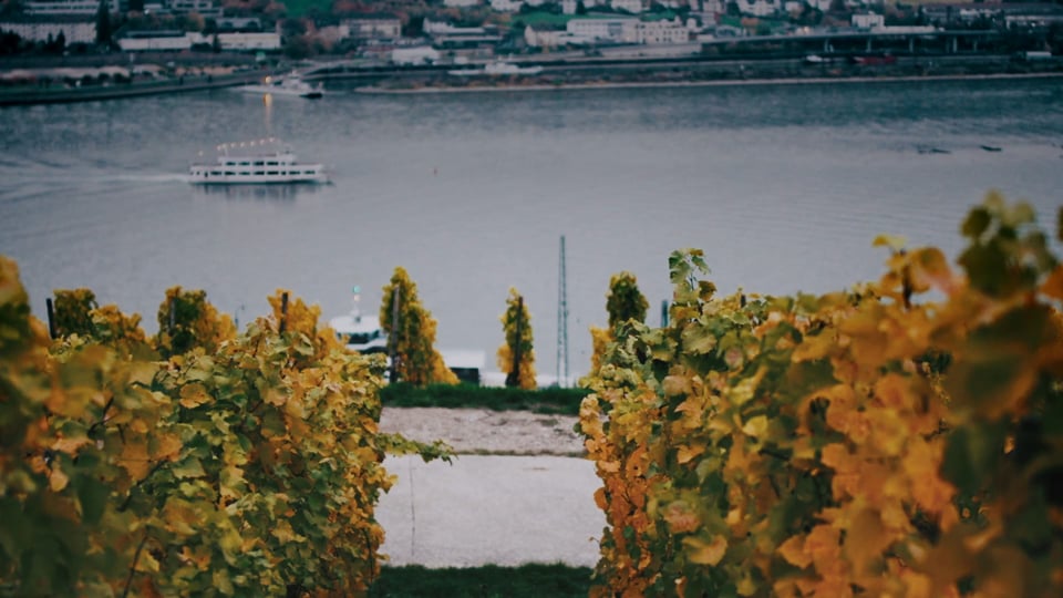 Im Herzen Europas - Juni 2018